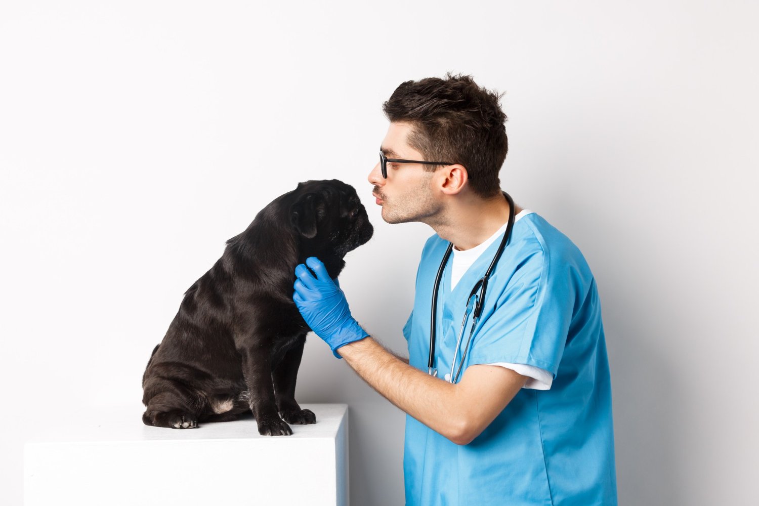 Intelligent Pet & Animal Healthcare